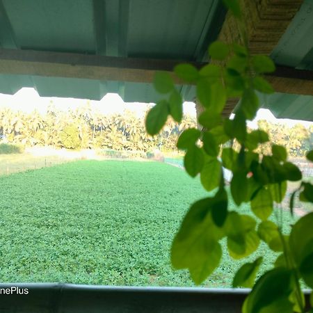 Ocean Sparrow Beach Stay Gokarna (Karnataka) Quarto foto